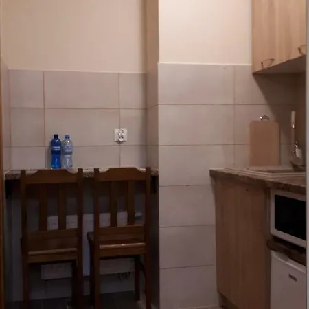 아파트 Beata 카르파츠